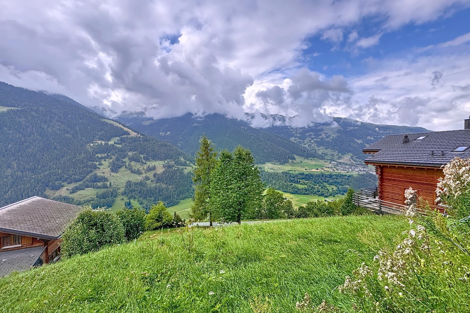 Le pré vu en légère plongée, chalets voisins, mélèzes et la vallée sous un ciel nuageux.