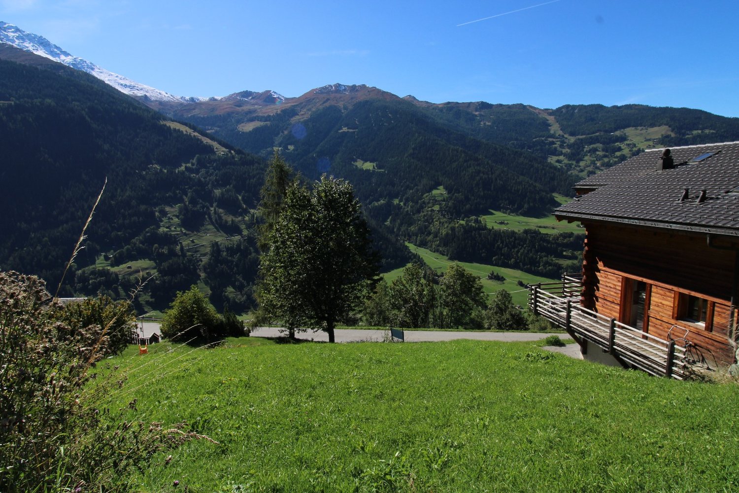 Deux mélèzes en bordure du pré, un chalet à droite, la vallée et les sommets derrière.