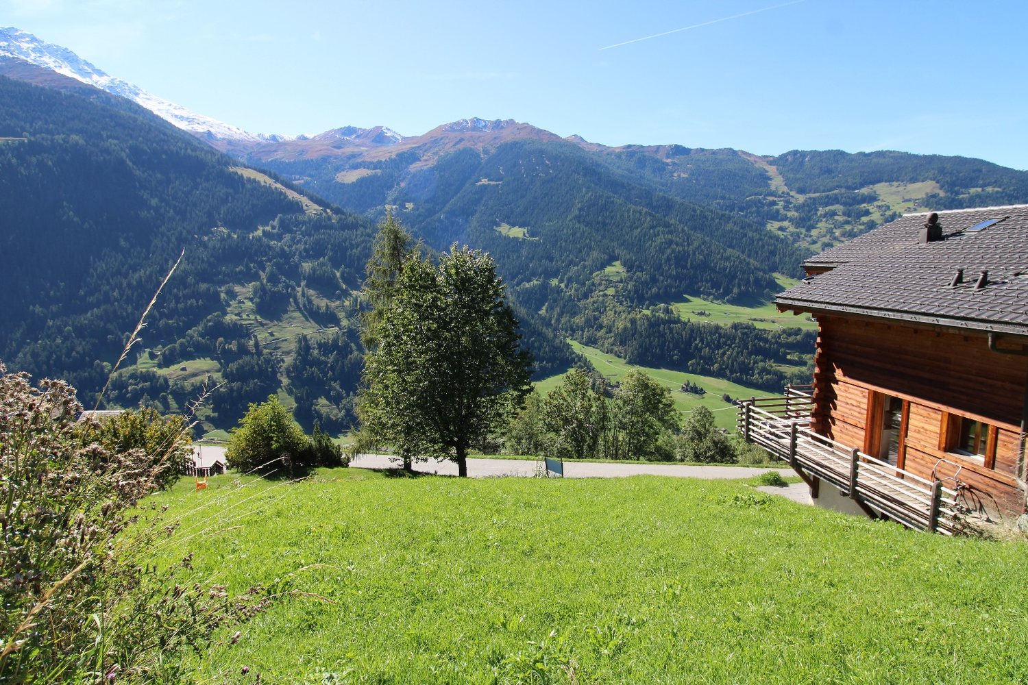 Vue vers le sud depuis le pré : mélèzes, alpages de l'autre versant et sommets enneigés, chalet voisin à droite.